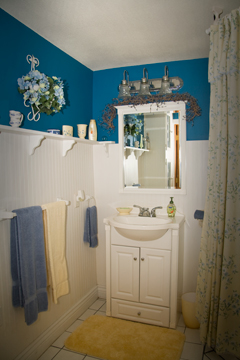 Turtle Dove private bath